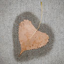 leaflogo